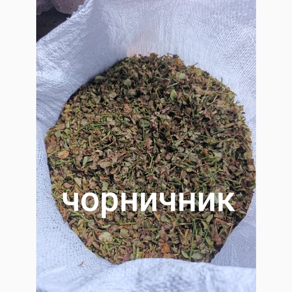 Лохина · оптом · Волинська область