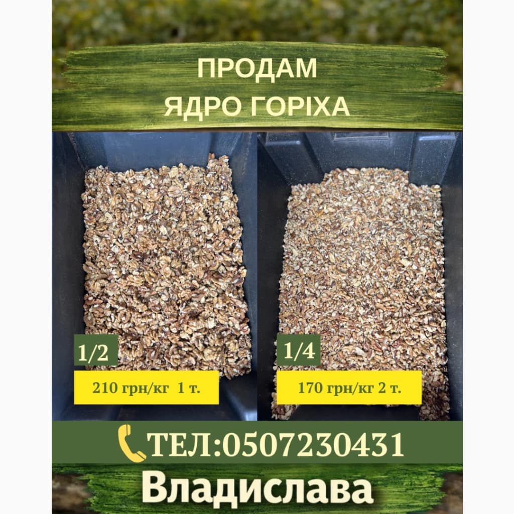 Горіх волоський · оптом · Полтавська область
