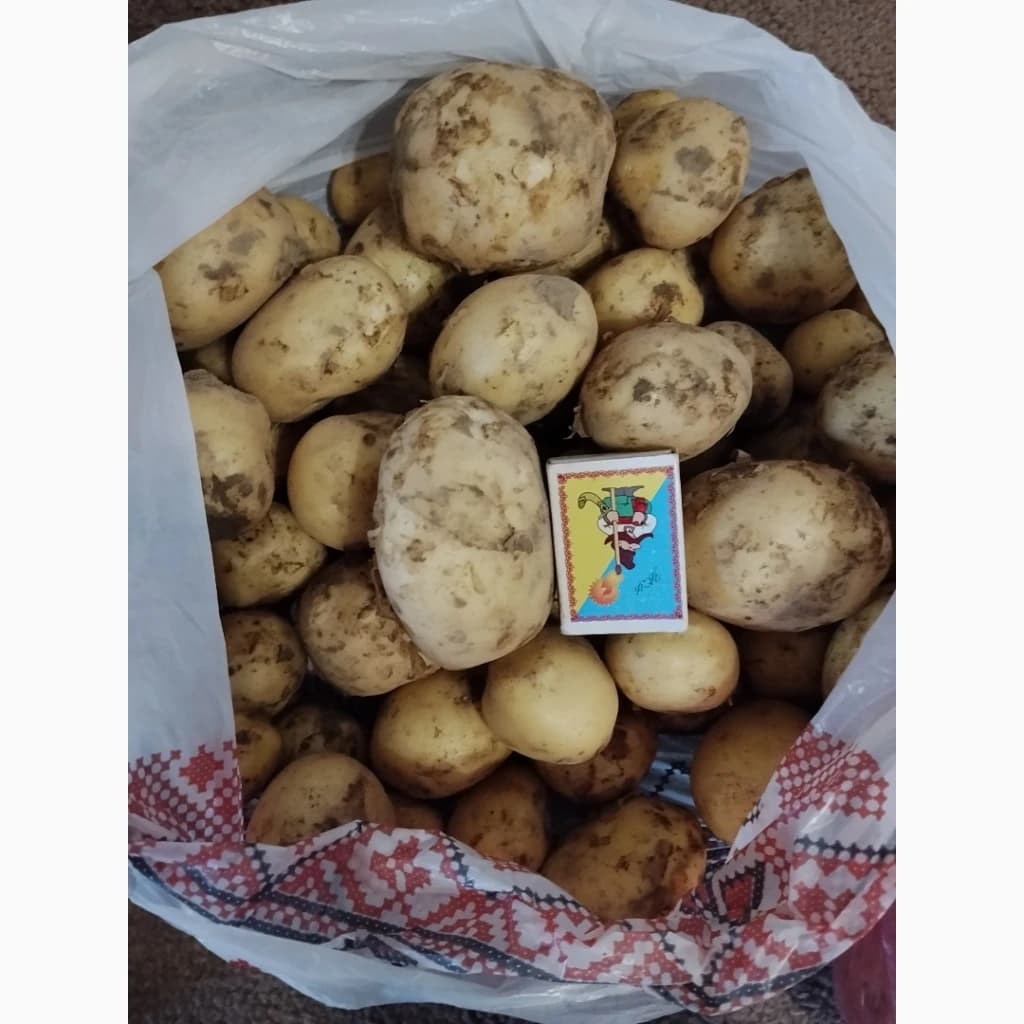 Продам молоду картоплю рів‘єра, Черкаська обл.