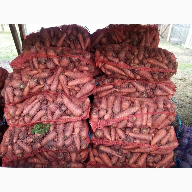Продам моркву 2 сорт, Рівненська обл.