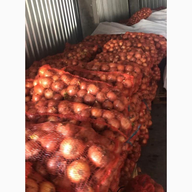 Продам цибулю, Чернівецька обл.