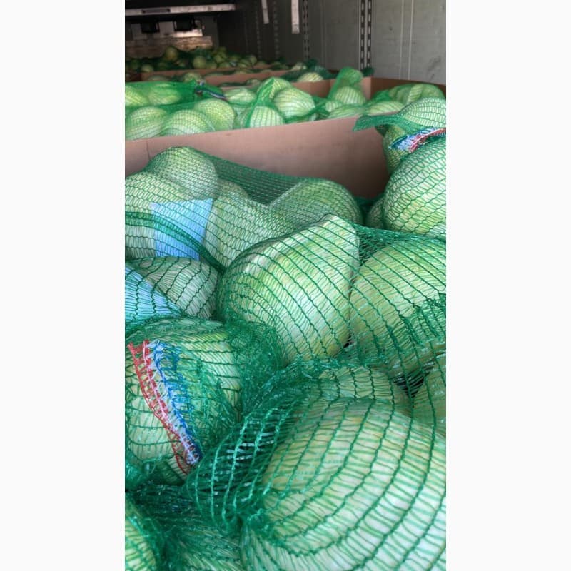 Продам капусту качество, Дніпропетровська обл.
