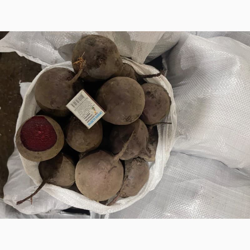Продам буряк, Чернігівська обл.