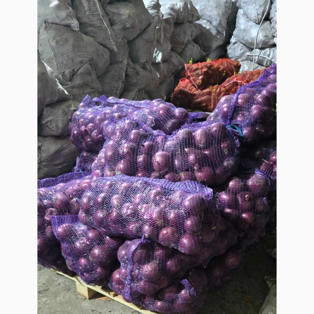 Продам червону цибулю, Дніпропетровська обл.