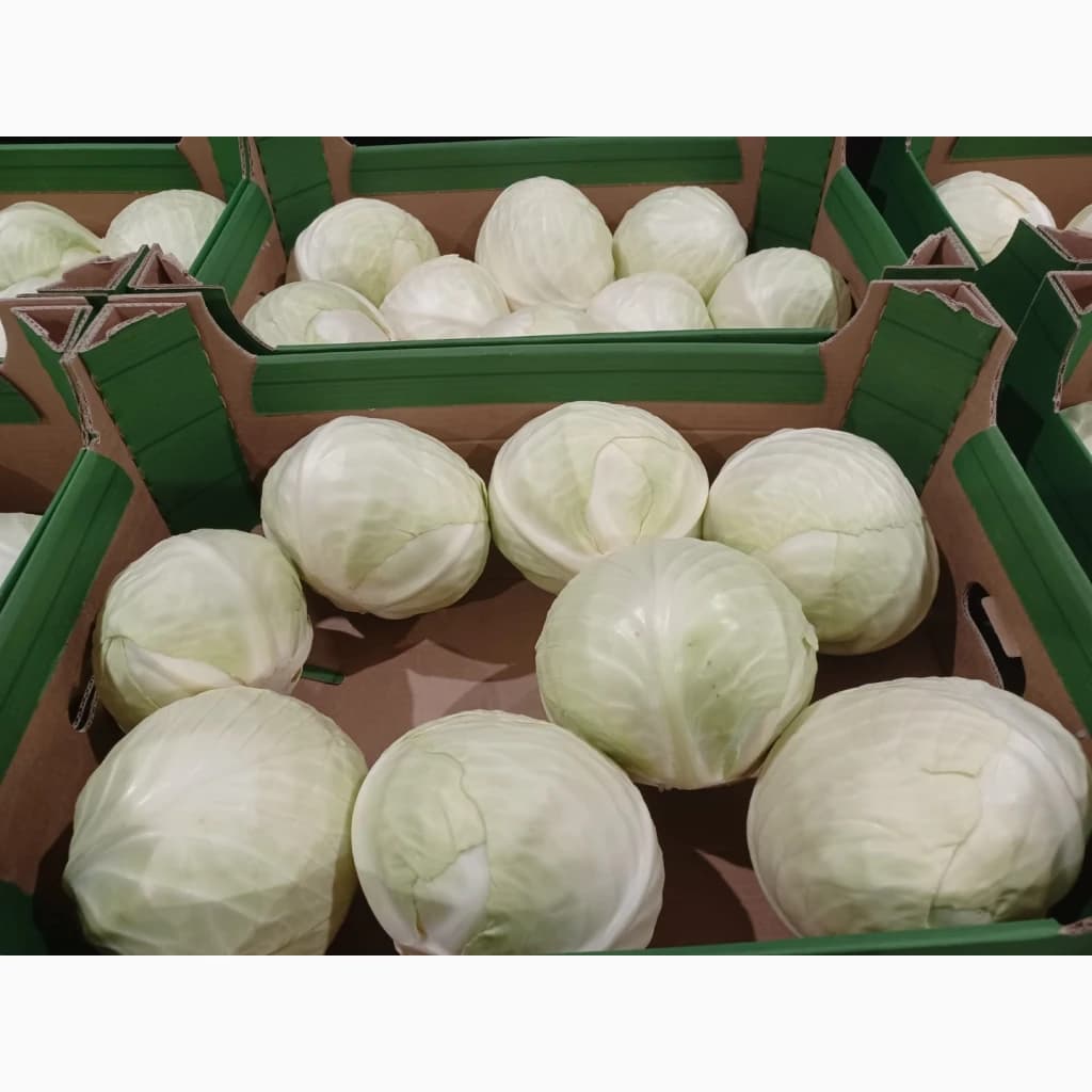 Продам білокачанну капусту Польща, Волинська обл.
