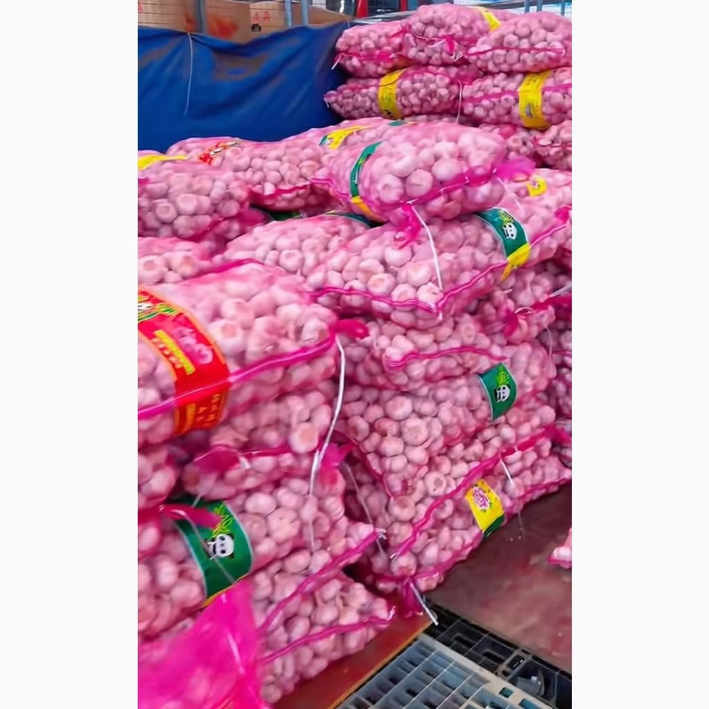 15 тонн ПРОДАМ ЧАСНИК Любаша Молодий Посадковий Озимий Чеснок Молодой Посадочный Garlic, Київська обл.