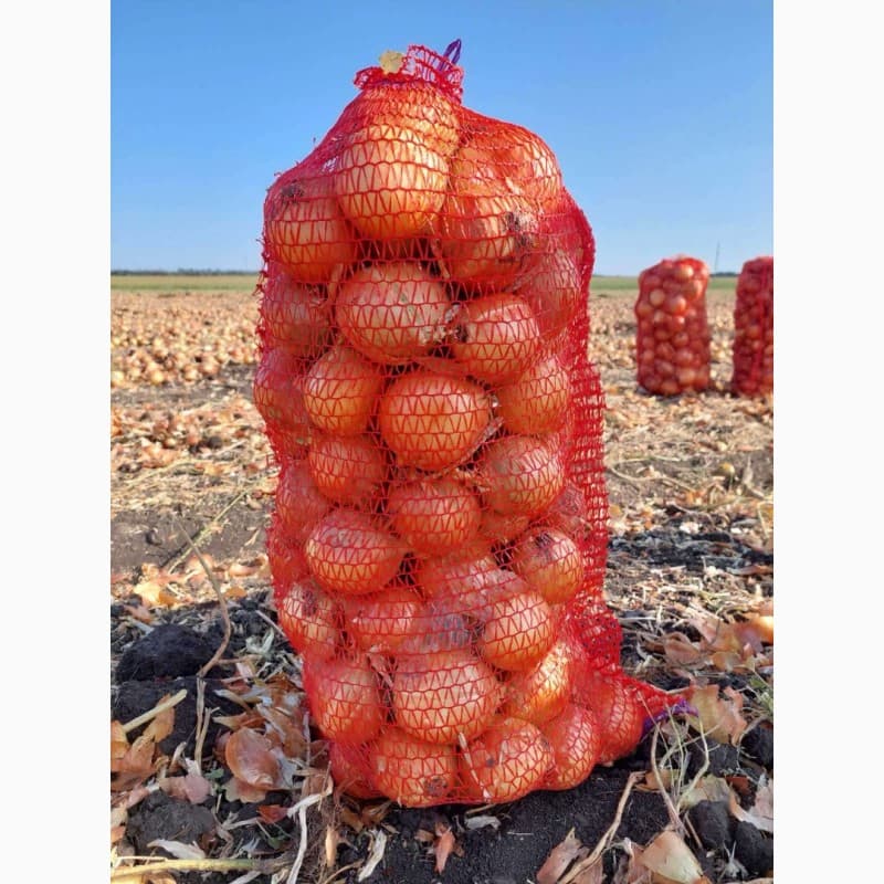 Продам некалібровану цибулю, м. Харків, Харківська обл.