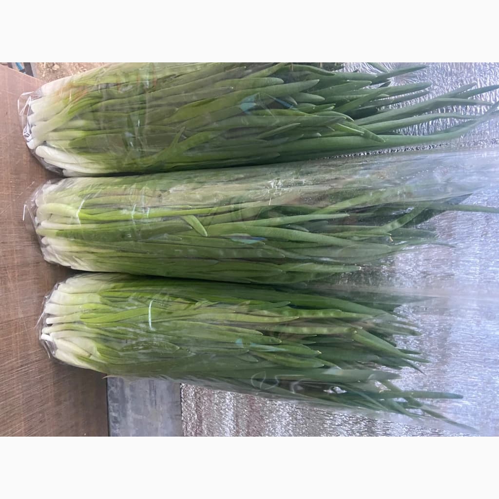 Продам зелену цибулю (перо), Тернопільська обл.