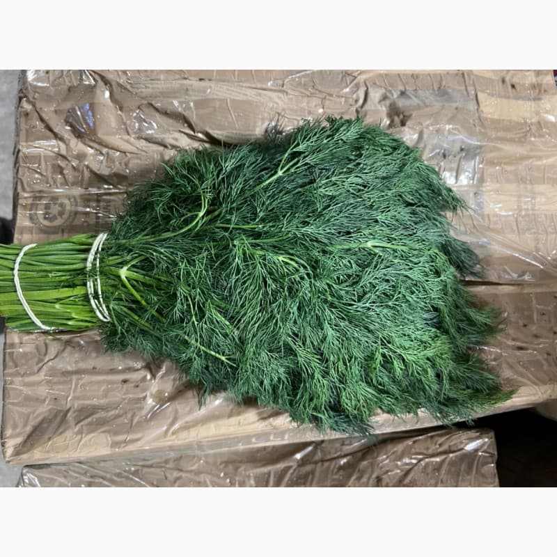 Продам свіжий зелений шпинат, Дніпропетровська обл.