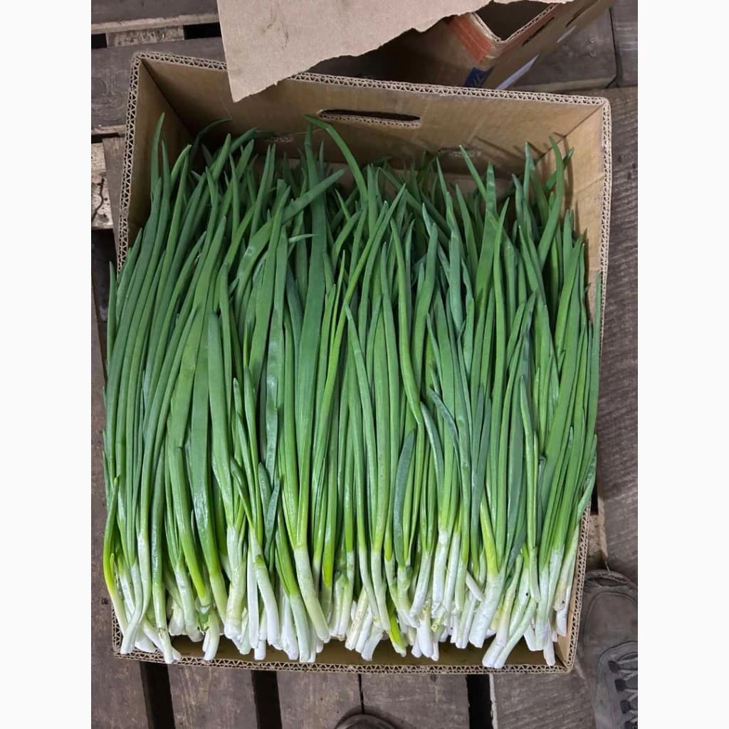 Продам зелену цибулю, Вінницька обл.