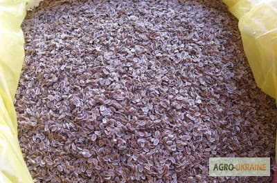 Продам укроп "Аллигатор" Харьковская область, Харківська обл.