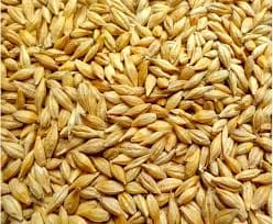 Продам ячмінь, Тернопільська обл.