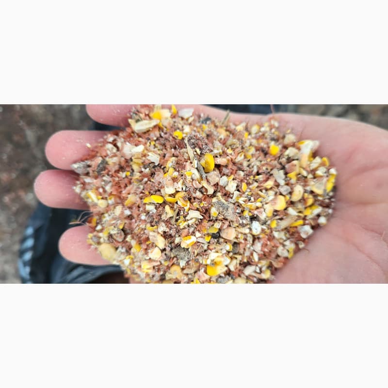 Продам відход кукурудзи 50тн, Кіровоградська обл.