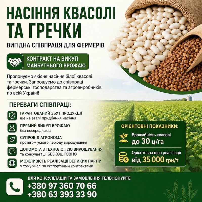 Посівмат квасолі та гречки з контрактом на викуп врожаю, Київська обл.
